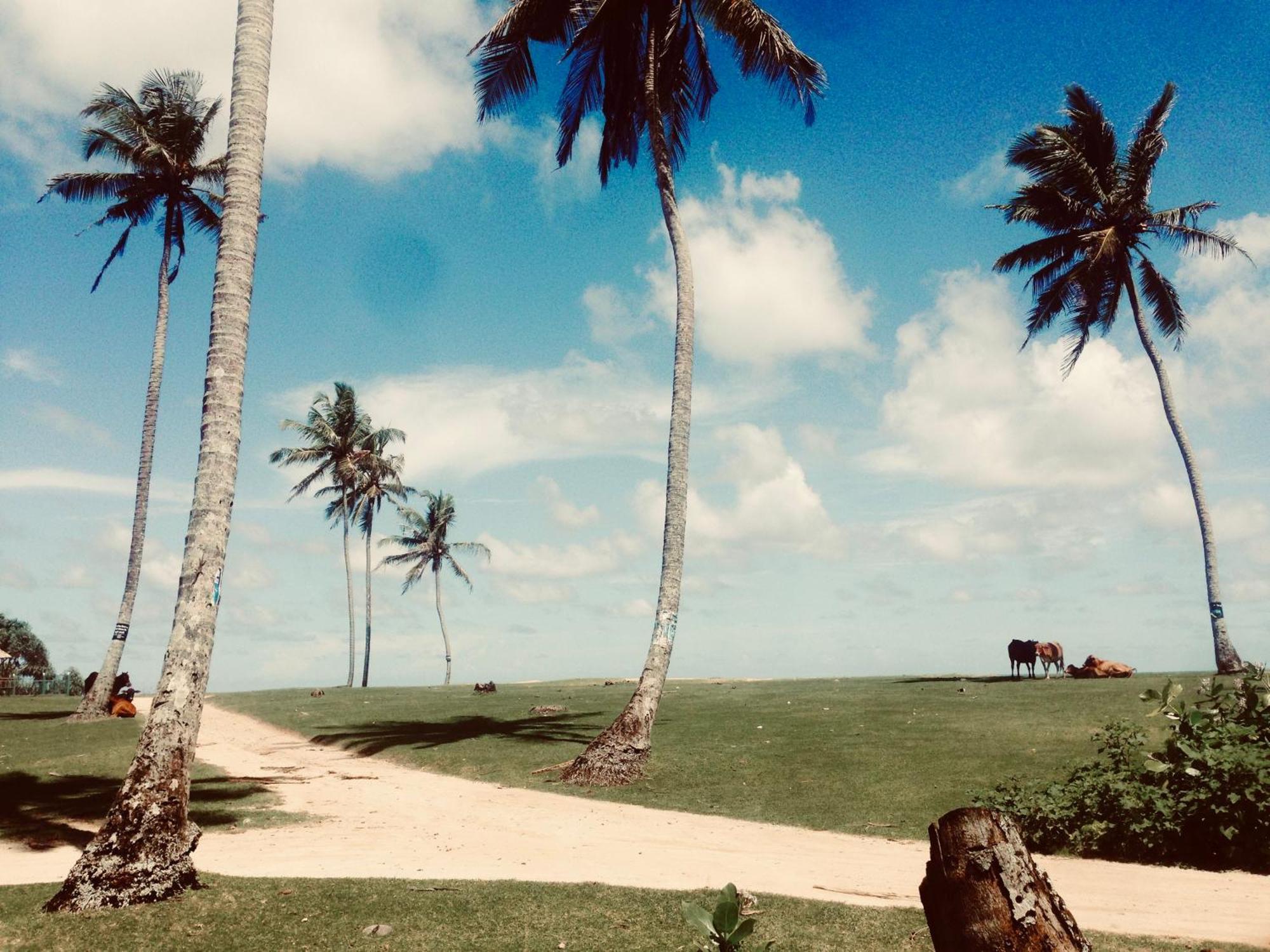 Dorian Guest House And Restaurant فيليغاما المظهر الخارجي الصورة